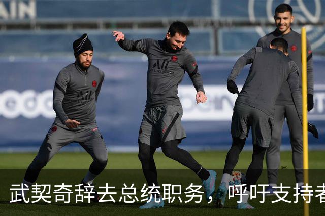 武契奇辞去总统职务，呼吁支持者继续奋战